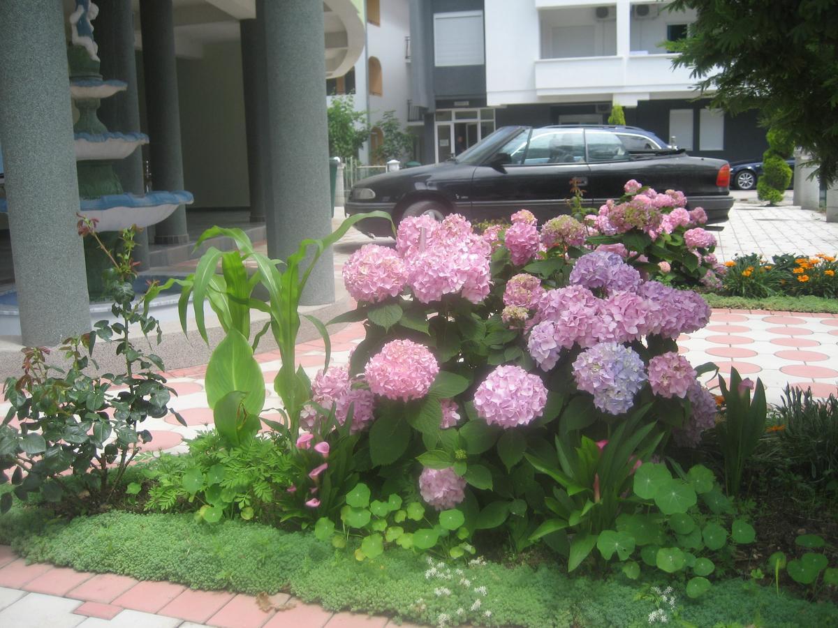 Guest House Vila Mimoza Ulcinj Exterior photo