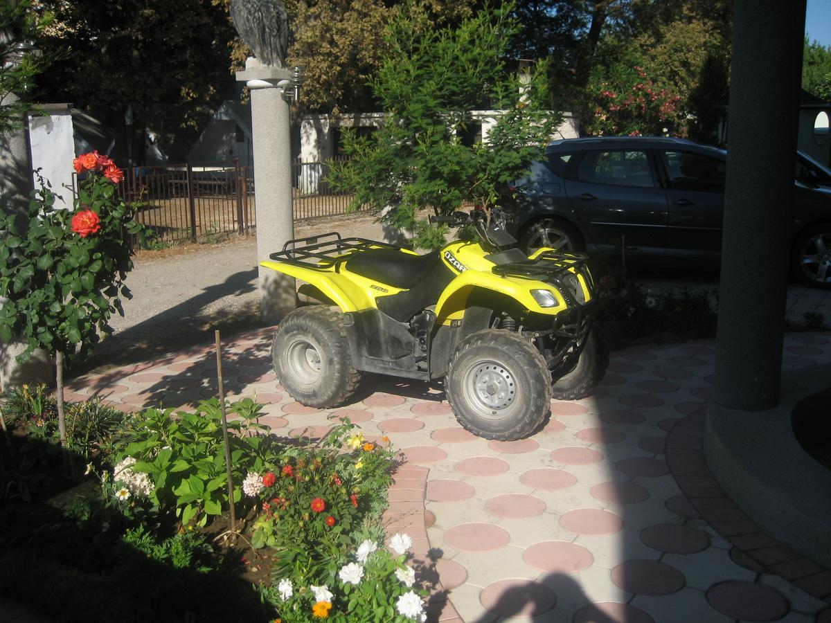 Guest House Vila Mimoza Ulcinj Exterior photo